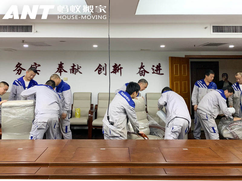 蚂蚁搬家怎么样?