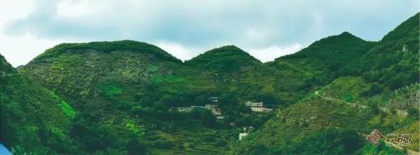 云南省首批生态产品价值实现典型案例出炉,西畴县石漠化综合治理入选